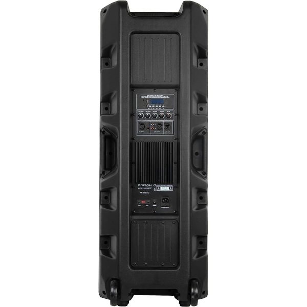 Edison Professional Audio M8000 Dual 15-inch 6500W Party Speaker System Online Hot Sale