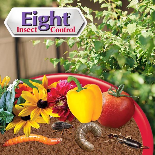 Bonide Eight Insect Control Granules 3 lb Online Hot Sale