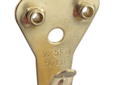 National Hardware Brass-Plated Picture Hanger 50 lb Supply