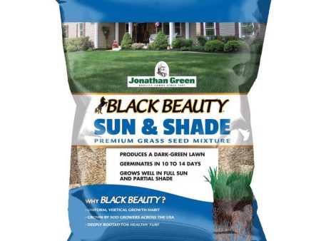 Jonathan Green Black Beauty Sun and Shade Mixed Partial Shade Sun Grass Seed 15 lb For Sale