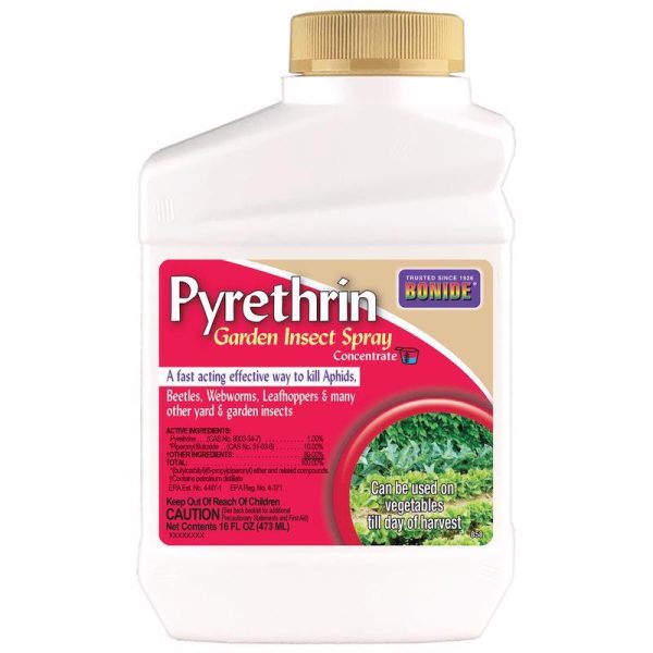 Bonide Pyrethrin Spray Organic Insect Killer Liquid Concentrate 16 oz Supply