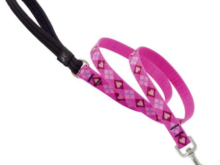 LupinePet Original Designs Multicolor Puppy Love Nylon Dog Leash For Cheap