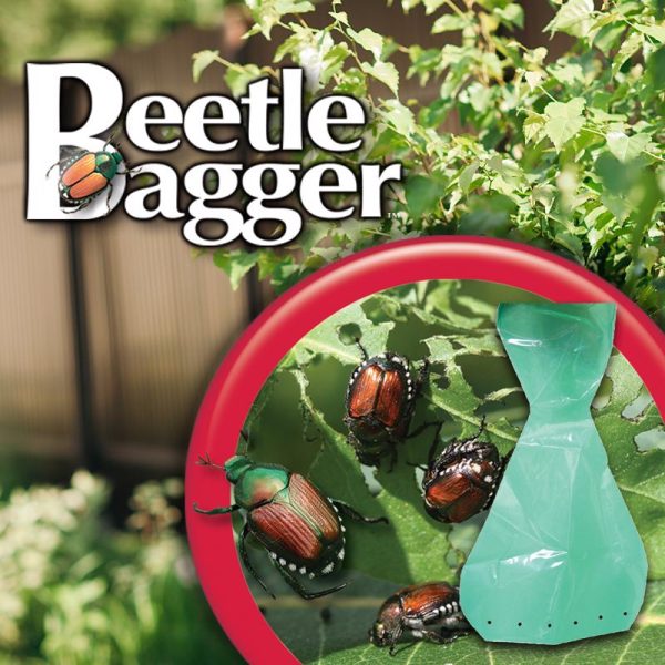 Bonide Beetle Bagger Beetle Trap Bag 6 pk Sale