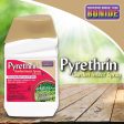 Bonide Pyrethrin Spray Organic Insect Killer Liquid Concentrate 16 oz Supply