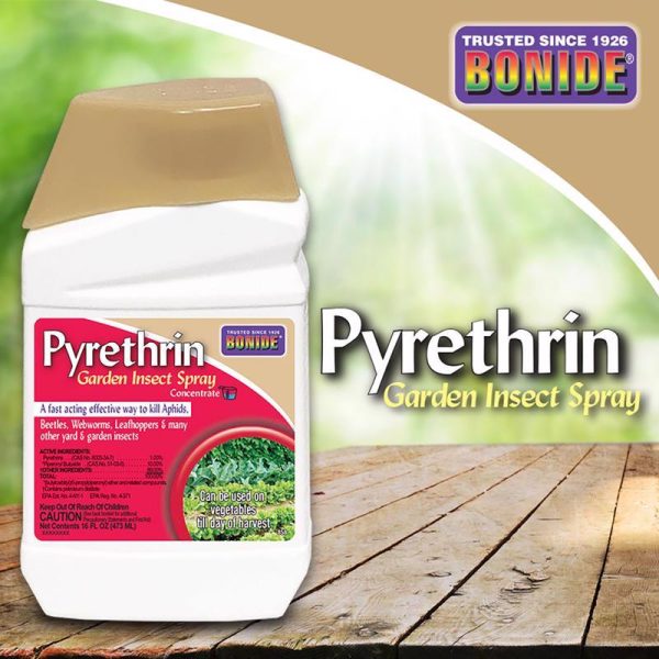 Bonide Pyrethrin Spray Organic Insect Killer Liquid Concentrate 16 oz Supply