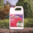 Bonide Annual Insect Killer Liquid Concentrate 1 gal Online Sale