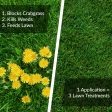 GreenView Fairway Formula Weed & Crabgrass Lawn Fertilizer For All Grasses 5000 sq ft Online Hot Sale