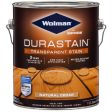 Wolman RainCoat Transparent Gloss Natural Cedar Water-Based Acrylic Copolymer One Coat Stain 1 gal Sale