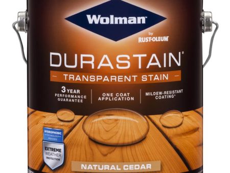 Wolman RainCoat Transparent Gloss Natural Cedar Water-Based Acrylic Copolymer One Coat Stain 1 gal Sale