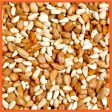 Cole s Cajun Cardinal Assorted Species Sunflower Meats Wild Bird Food 10 lb Cheap