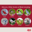 Lyric Assorted Species Fruits and Nuts Wild Bird Food 5 lb Discount