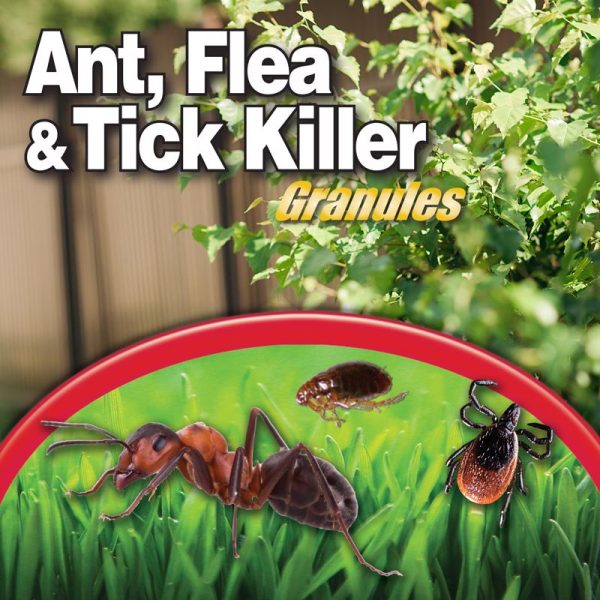 Bonide Ant, Flea & Tick Insect Killer Granules 10 lb Hot on Sale