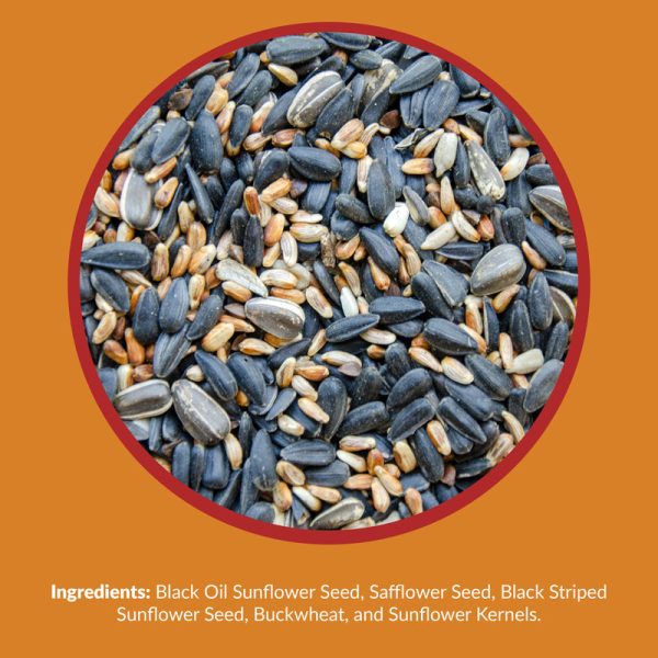 Lyric Cardinal Sunflower Seeds Wild Bird Food 3.75 lb on Sale